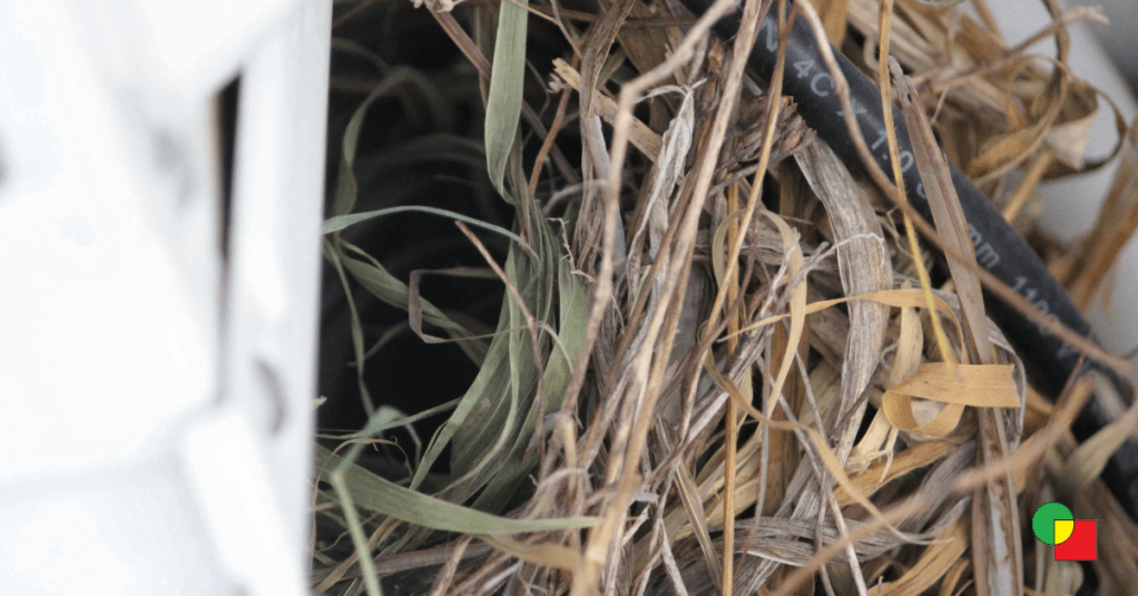 A detailed close-up of a bird's nest made of dry grass and twigs, built securely among white air conditioning wires on a balcony.